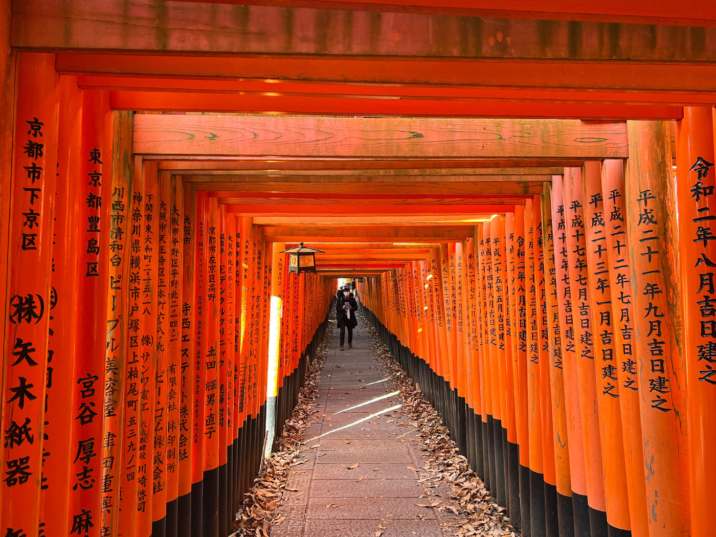 Senbon Torii at Fushimi Inari Taisha in Kyoto