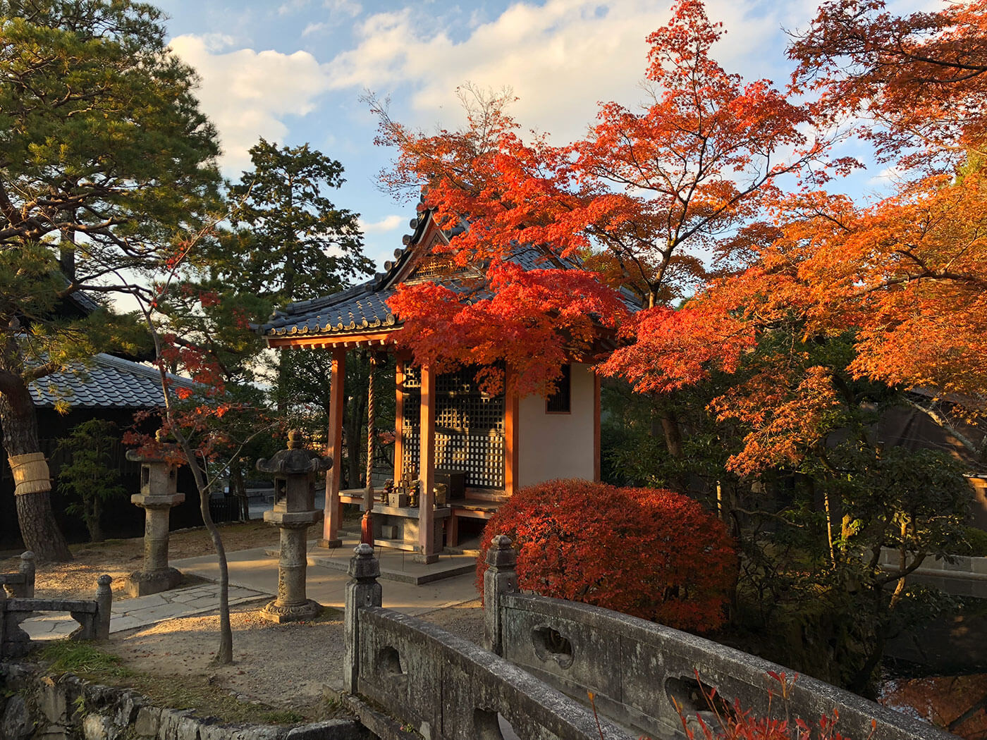 Momiji leaf time at Kiyomizu-dera in Kyoto