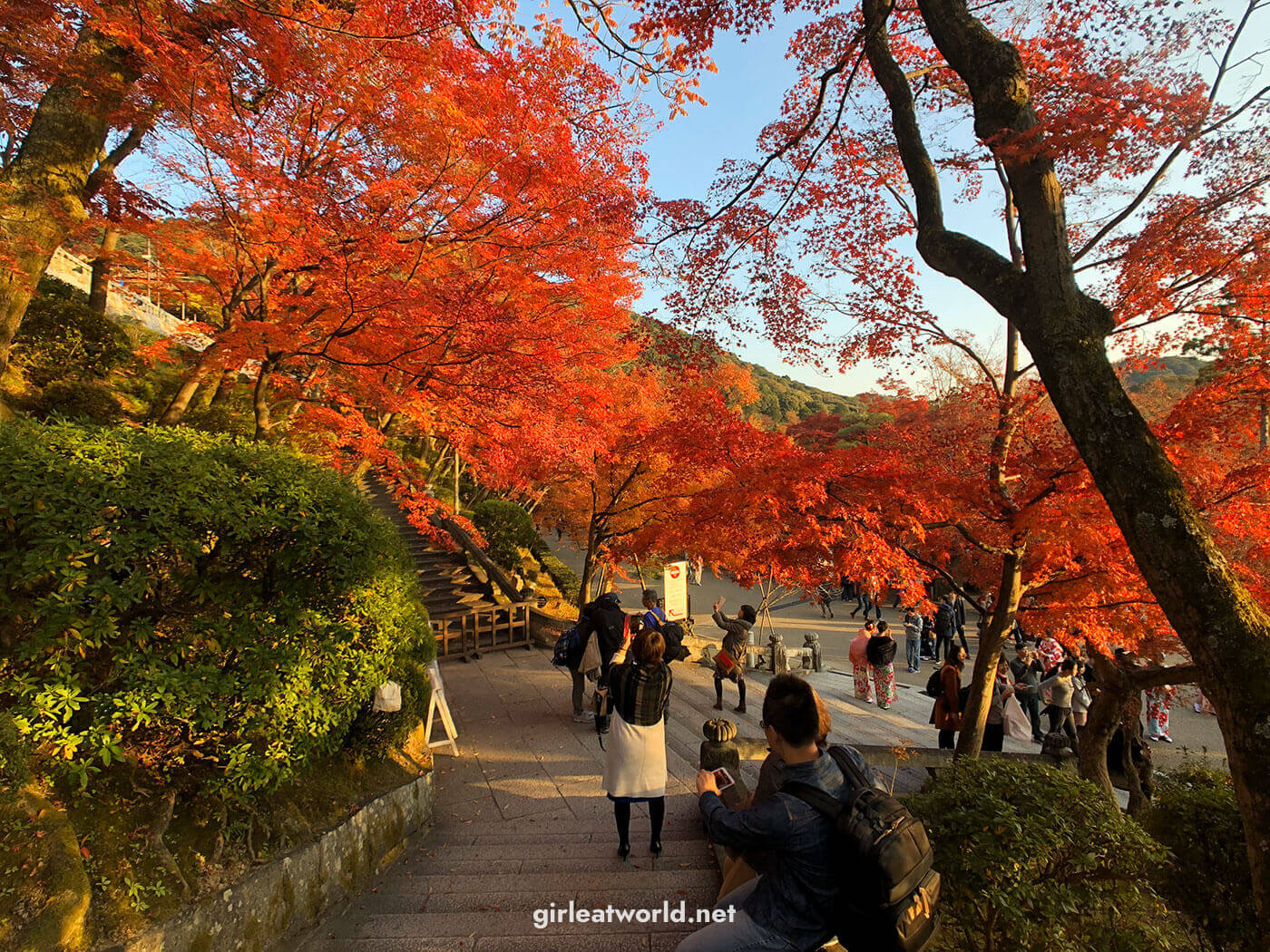 Momiji leaf time at Kiyomizu-dera in Kyoto