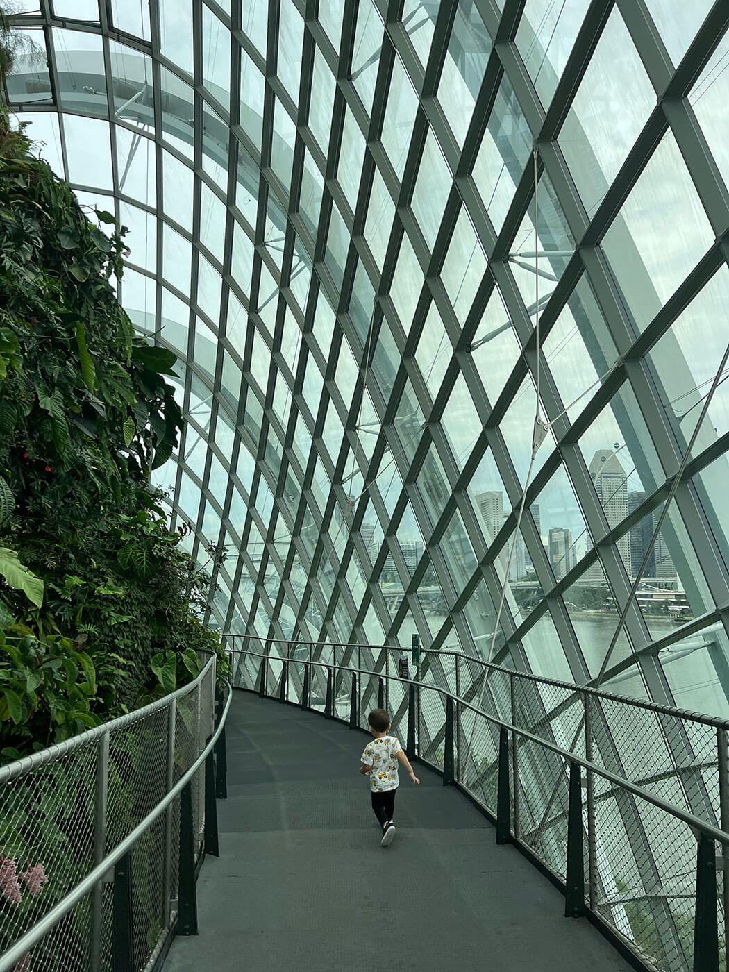 Singapore Cloud Forest