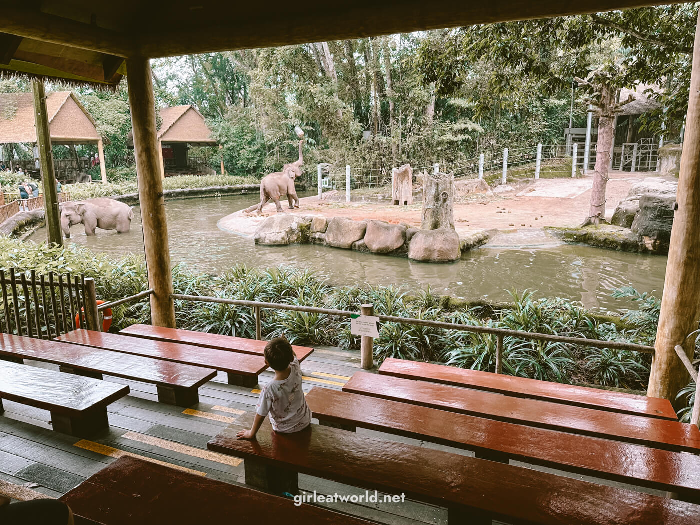 Mandai Wildlife Reserve: Singapore Zoo