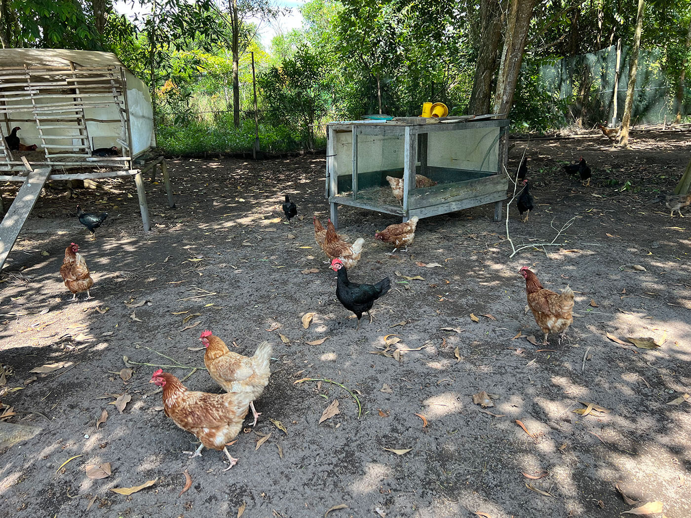 Farm at The Residence Bintan