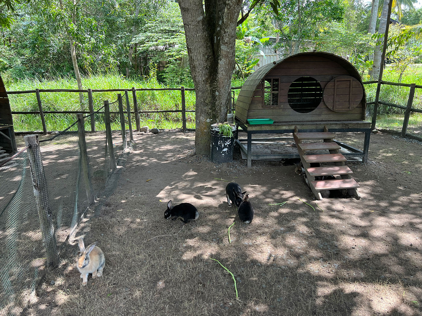 Farm at The Residence Bintan