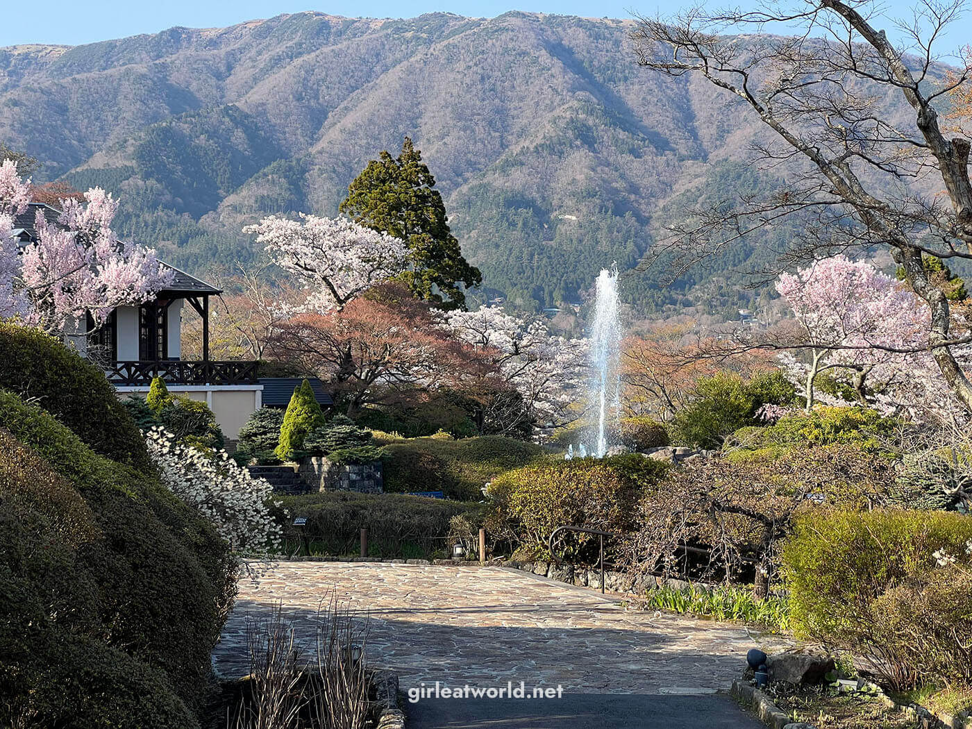 Hakone Travel Guide - Hakone Gora Park