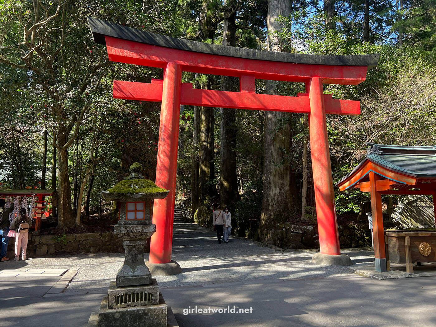 Hakone Travel Guide - One of the torii leading up to the Hakone shrine