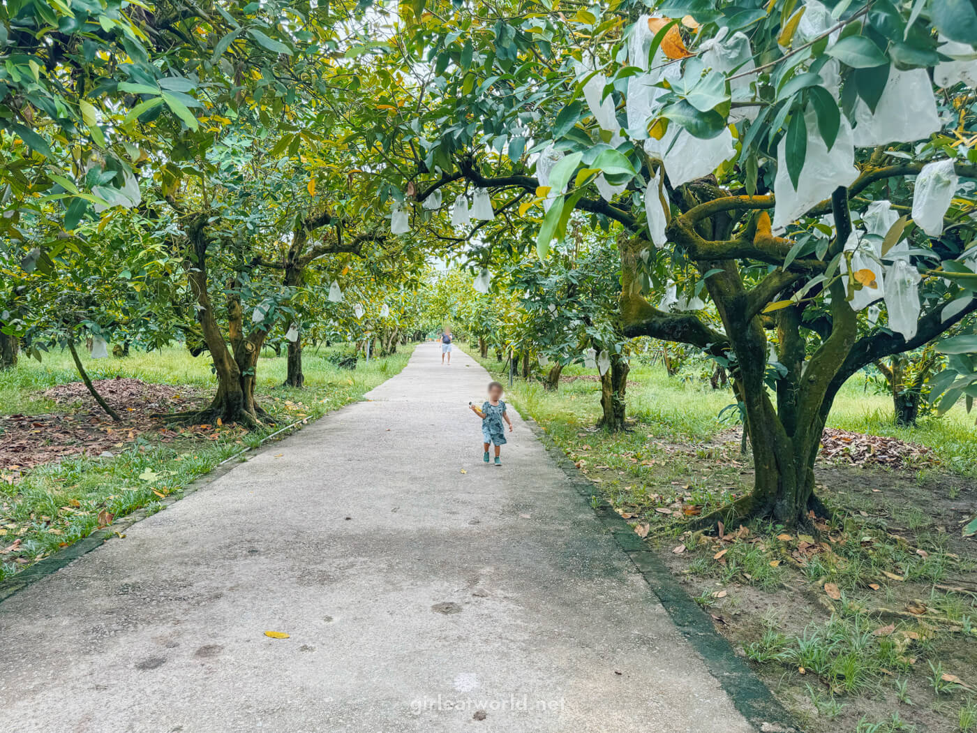 Desaru Fruit Farm