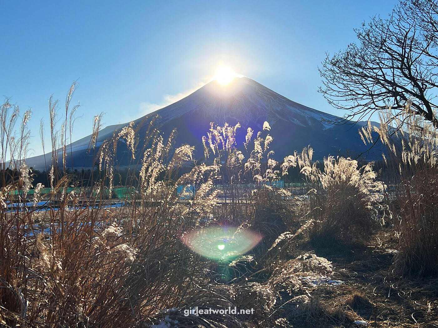 Diamond Fuji from Lake Yamanaka