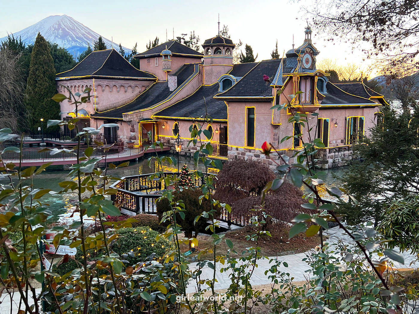 The garden of Kawaguchiko Music Forest with Mount Fuji view