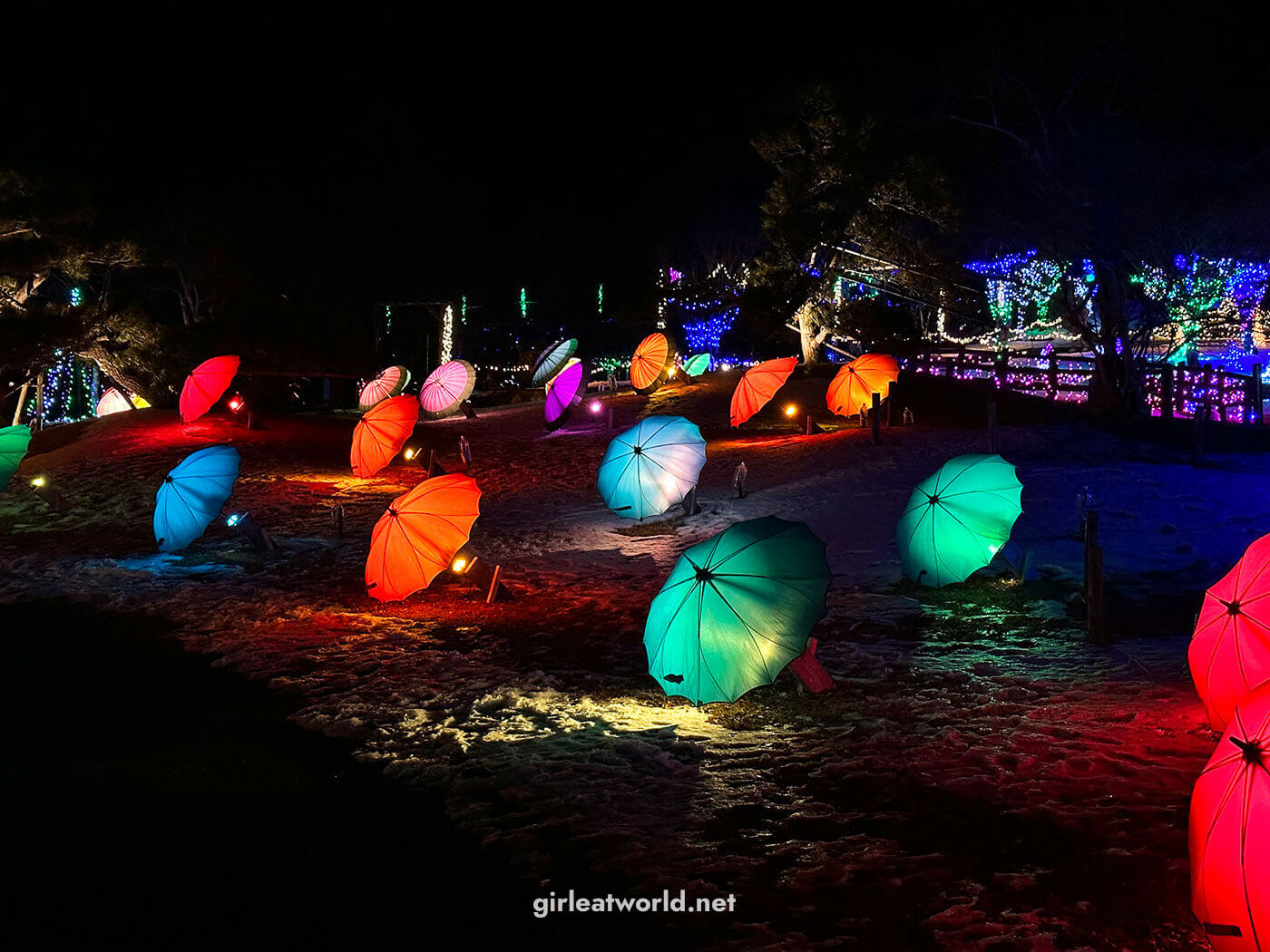 Winter Illumination at Hananomiyako Park