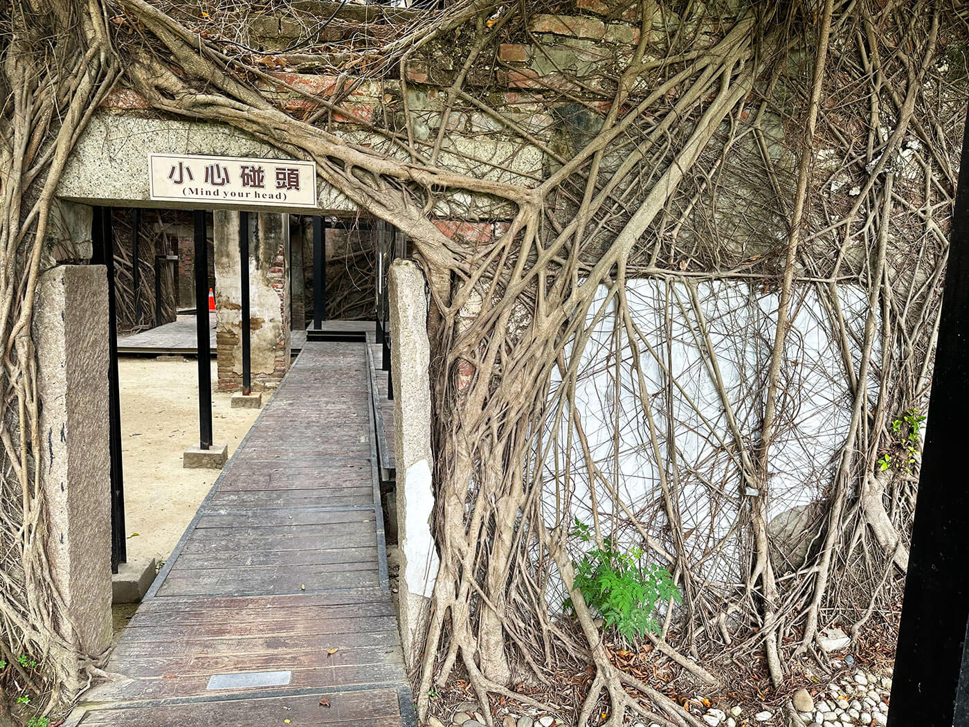 Anping Tree House in Tainan