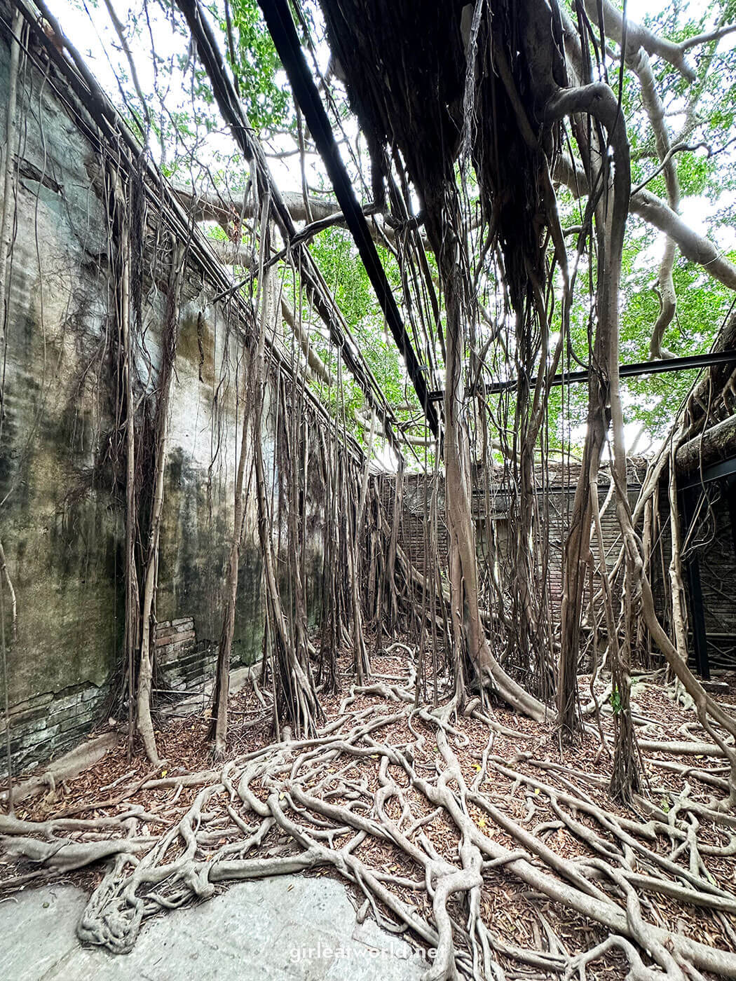 Anping Tree House in Tainan