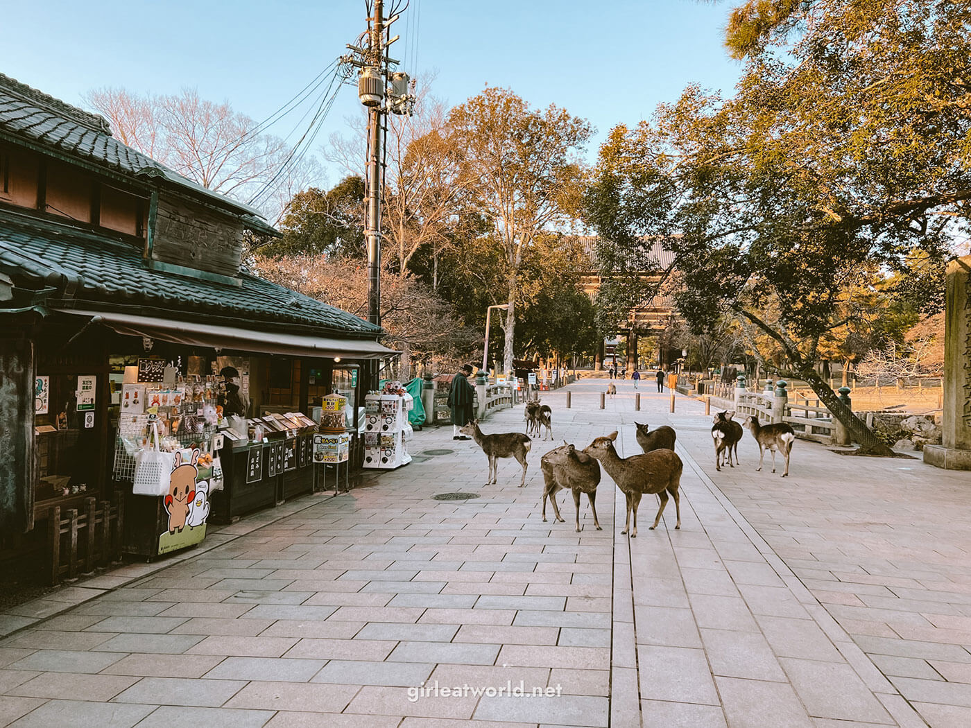 Nara Itinerary - Nandaimon Gate