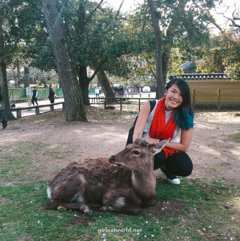 Nara Day Trip Itinerary: Things to do in Nara — Girl Eat World