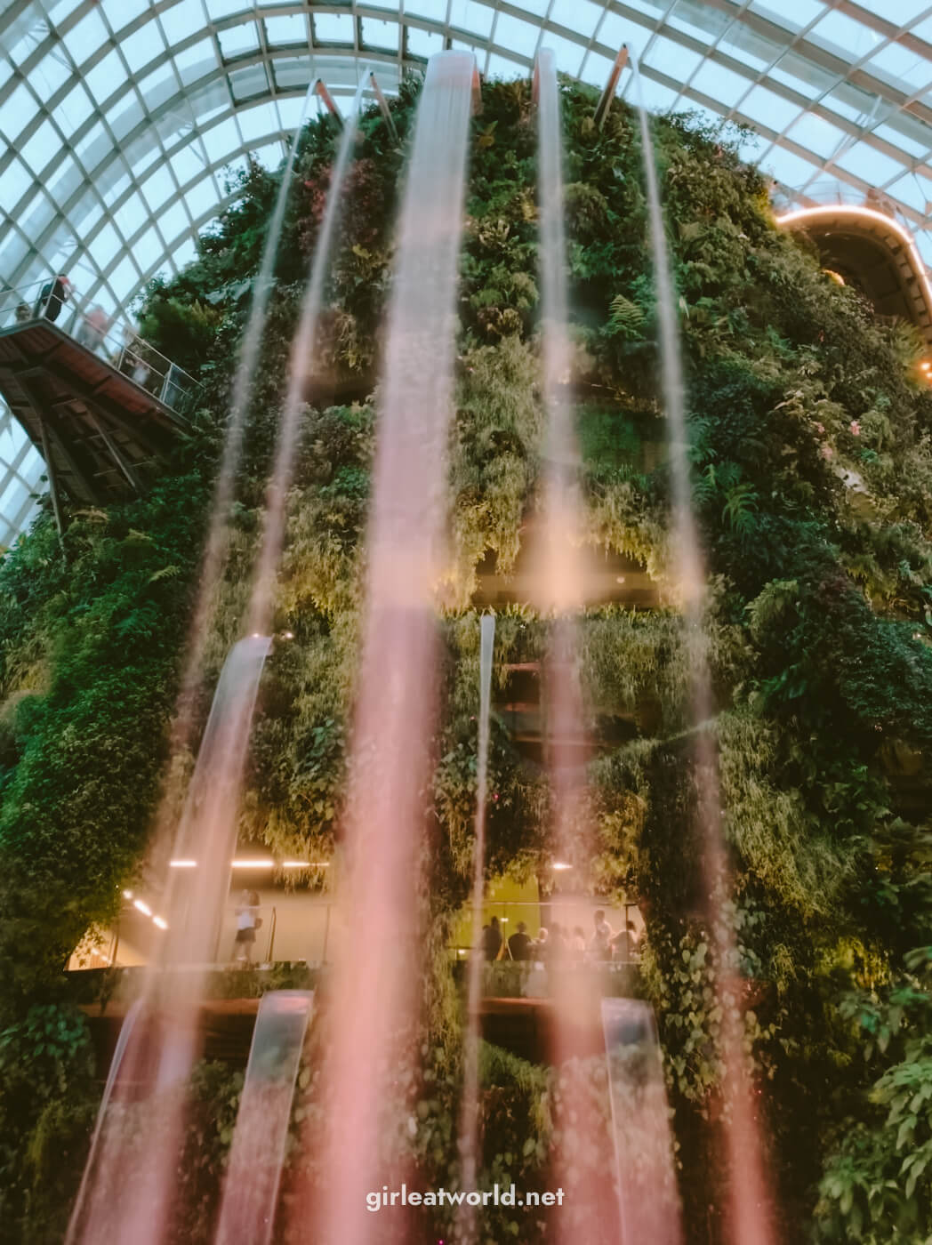 Singapore Cloud Forest