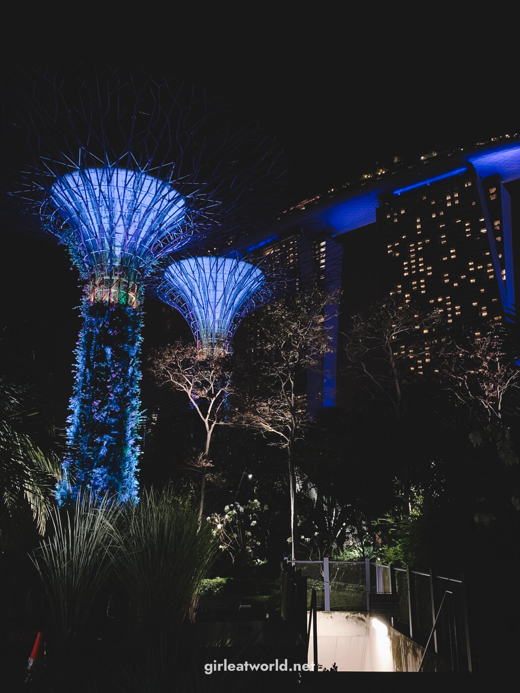 Marina Bay Sands and Supertree from Gardens by the Bay