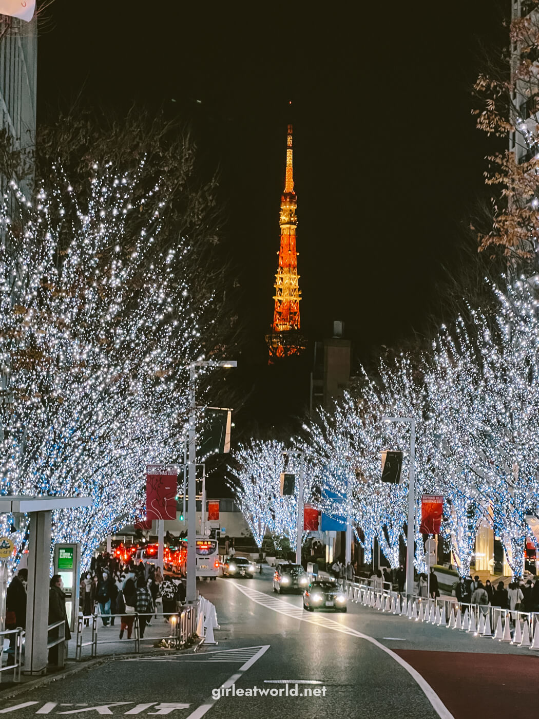 Keyakizaka Illumination at Roppongi Hills