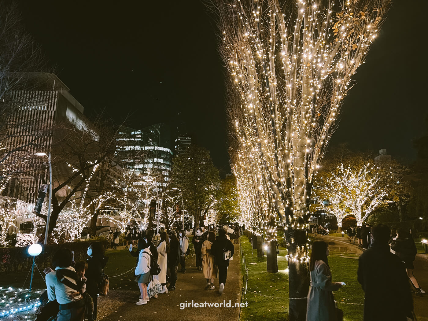 Christmas Illumination at Tokyo Midtown