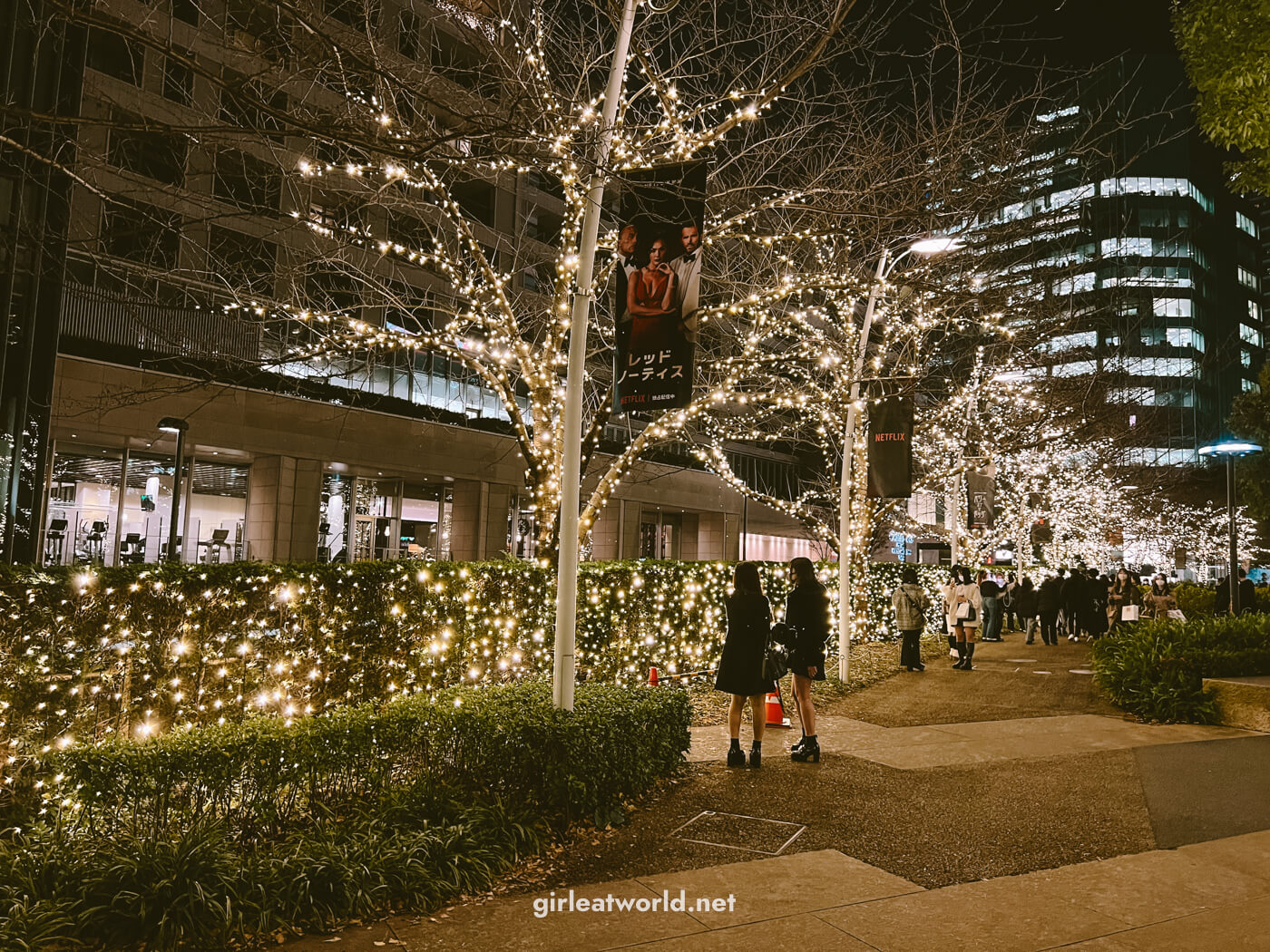 Christmas Illumination at Tokyo Midtown