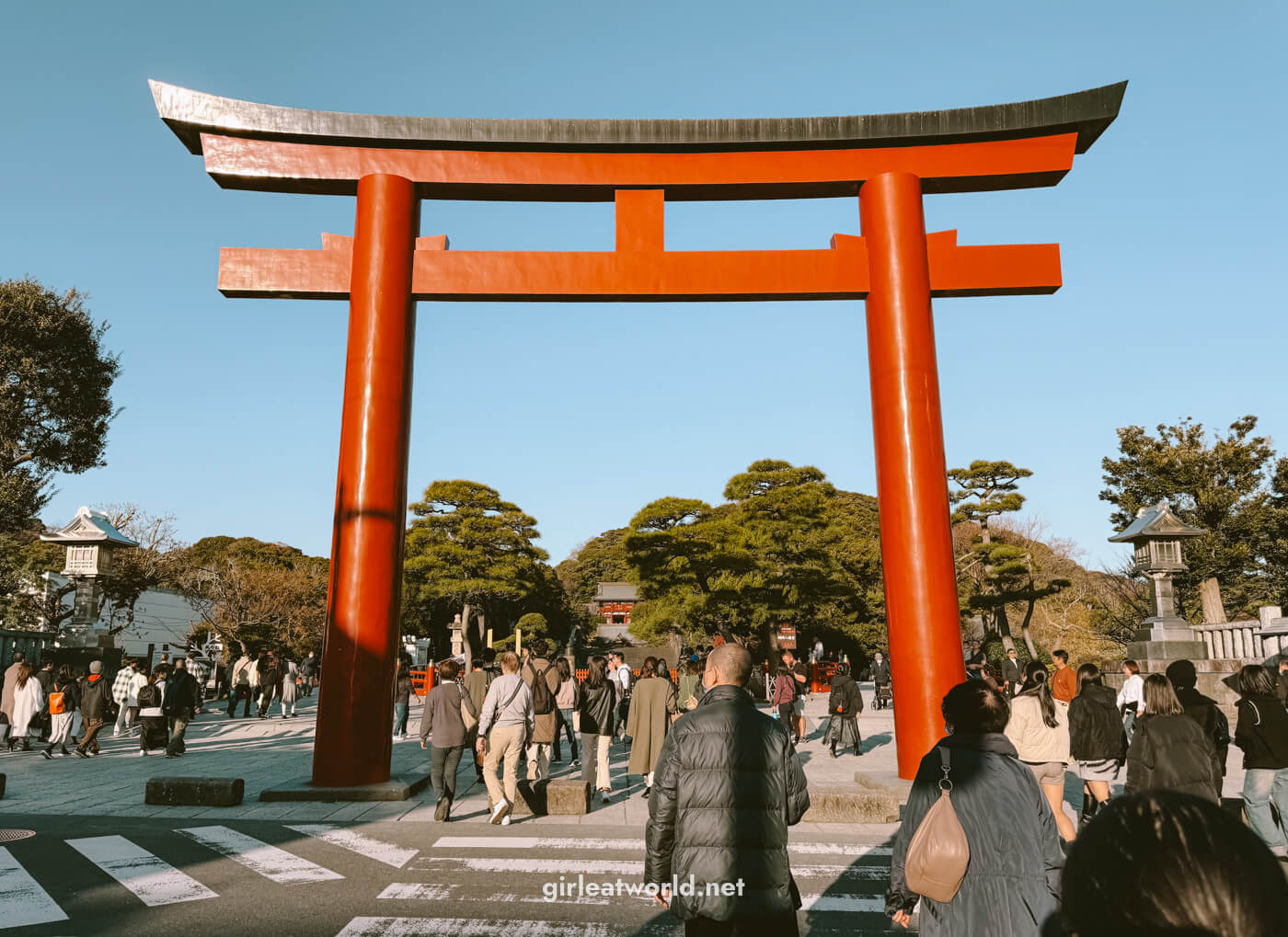 The big torii gate at the entrance of Tsurugaoka Hachimangu