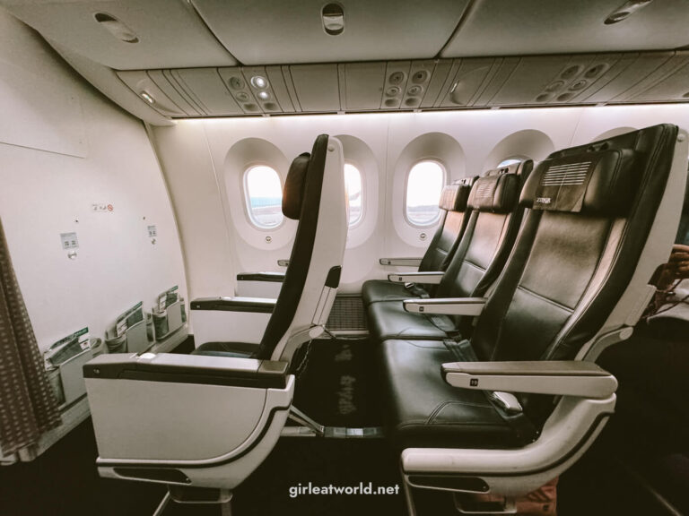 ZIPAIR Review Budget flight from Singapore to Tokyo (With a Young