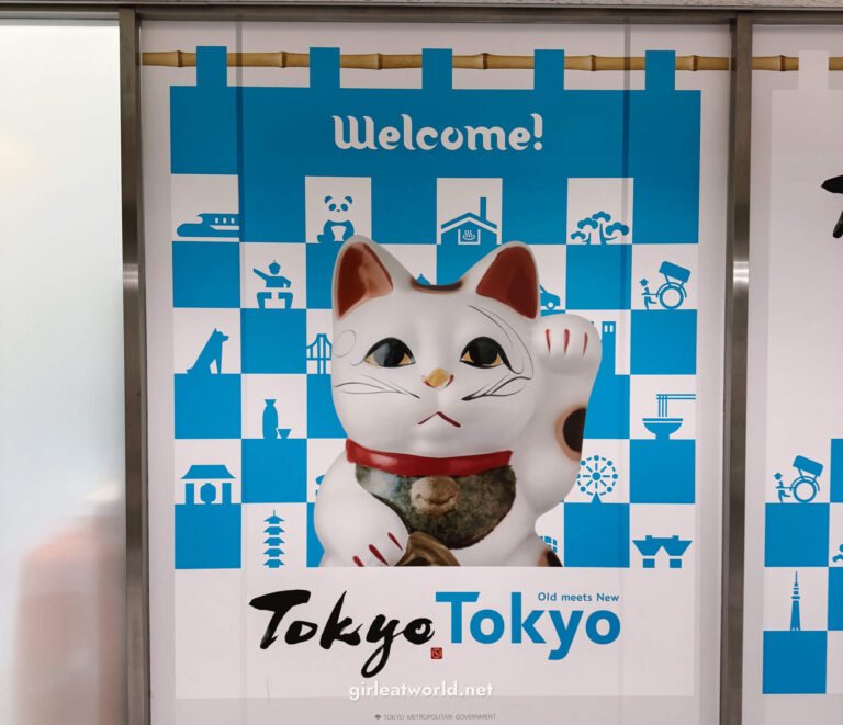 ZIPAIR Flight Review Budget flight from Singapore to Tokyo — Girl Eat