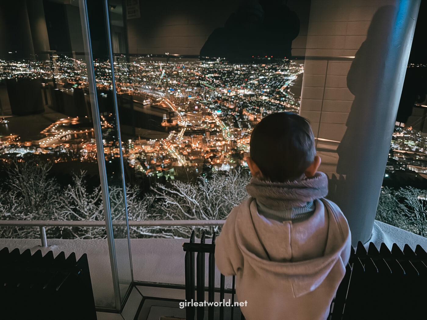 View from Mount Hakodate Observatory