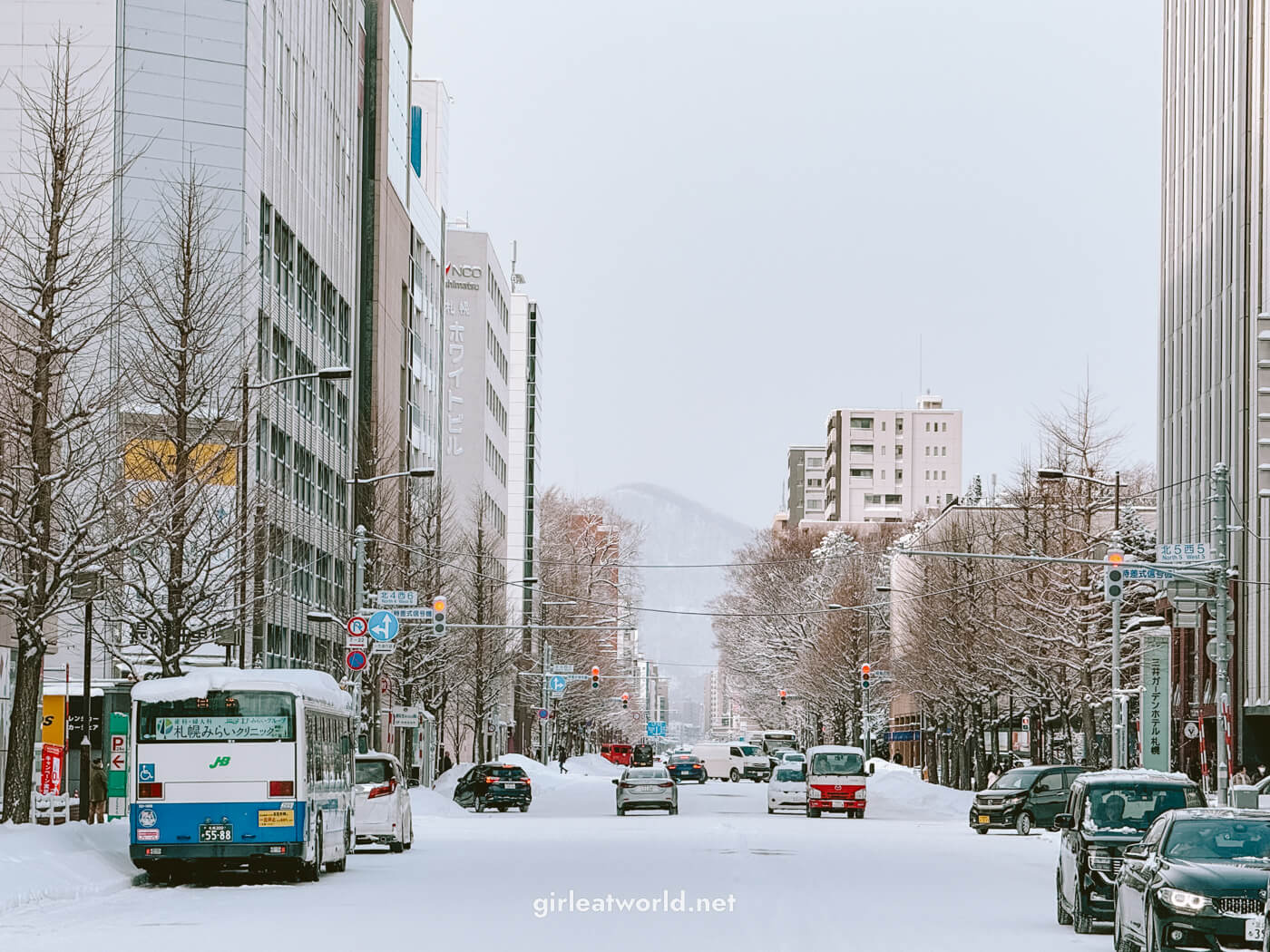 Sapporo in January