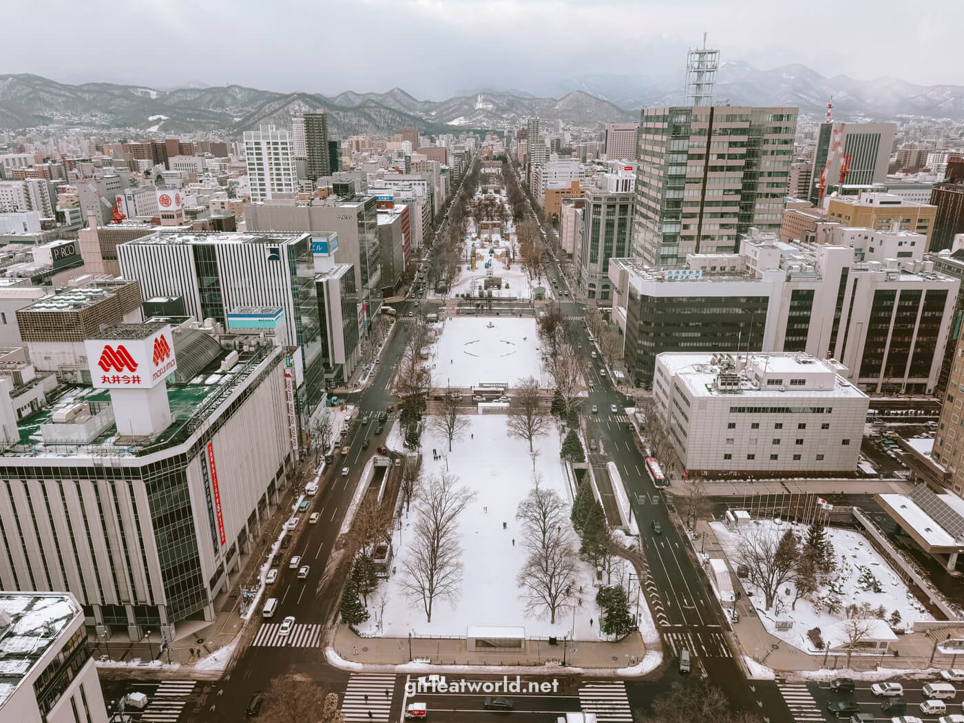 Odori Park from Sapporo TV Tower Observation Deck