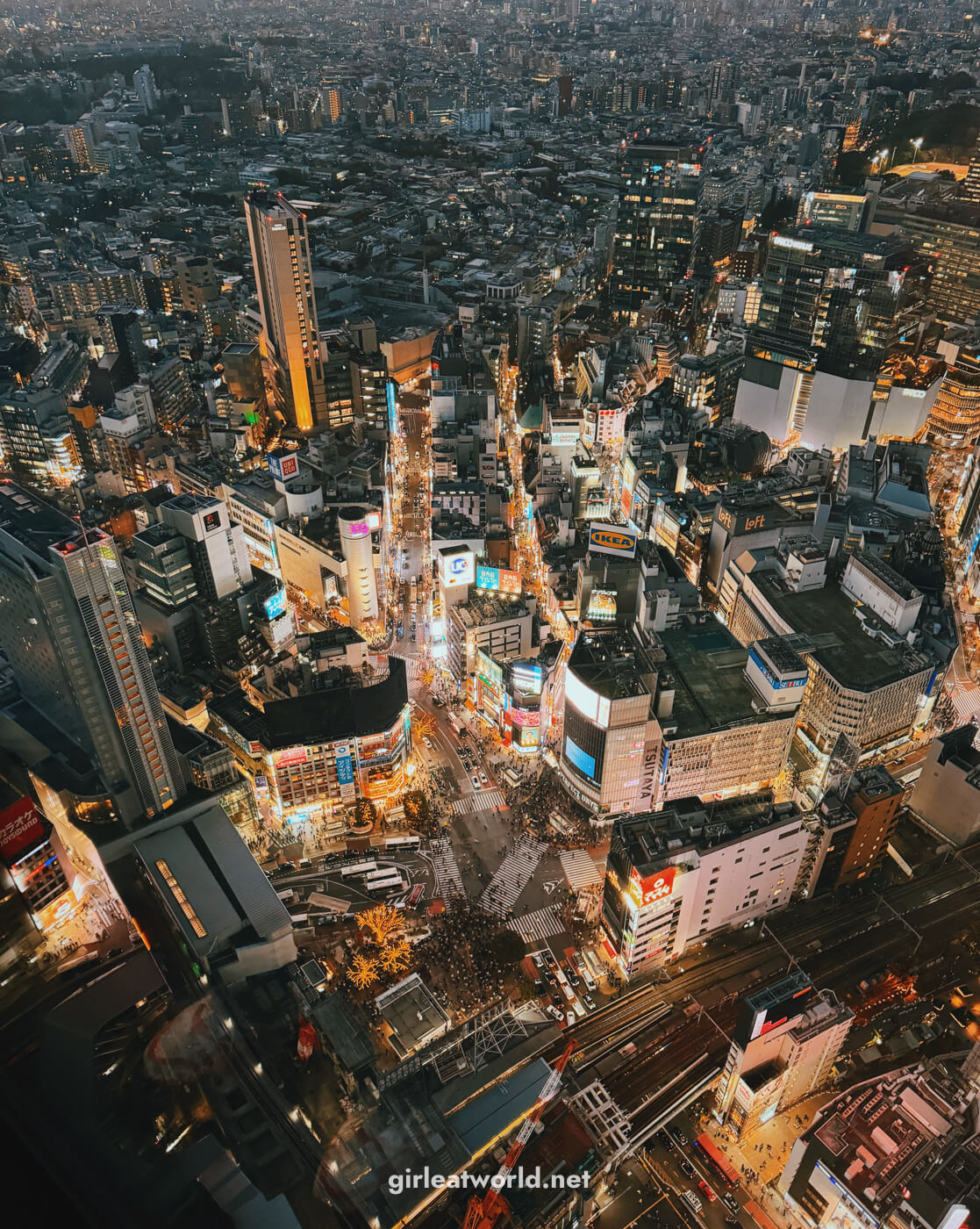 Shibuya Scramble Crossing from the 46th Floor