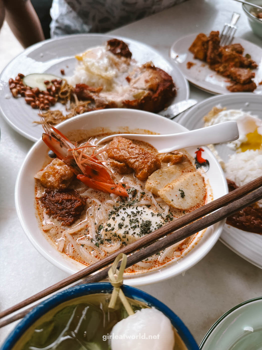 Singapore Food - Laksa Noodle