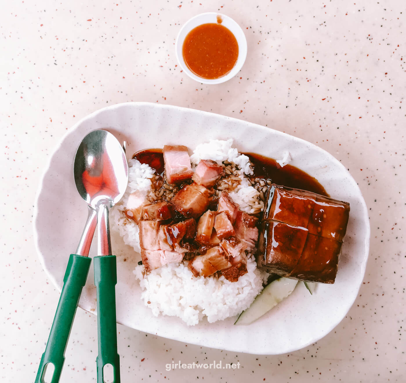 Singapore Food - Roast Meat Rice