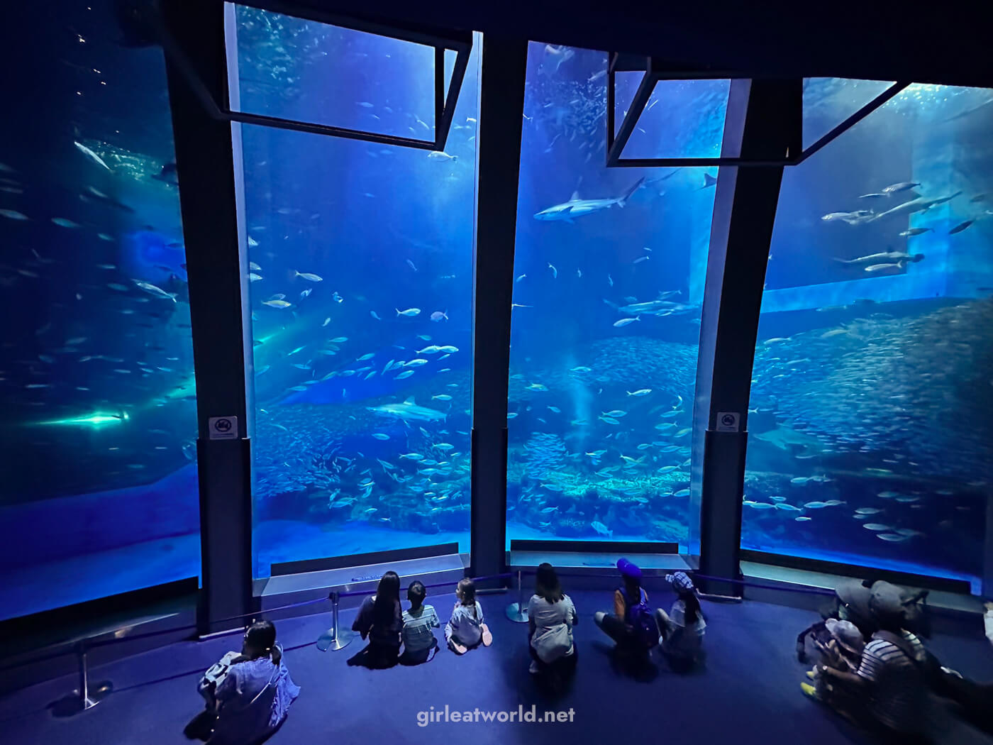 Hakkeijima Aquarium