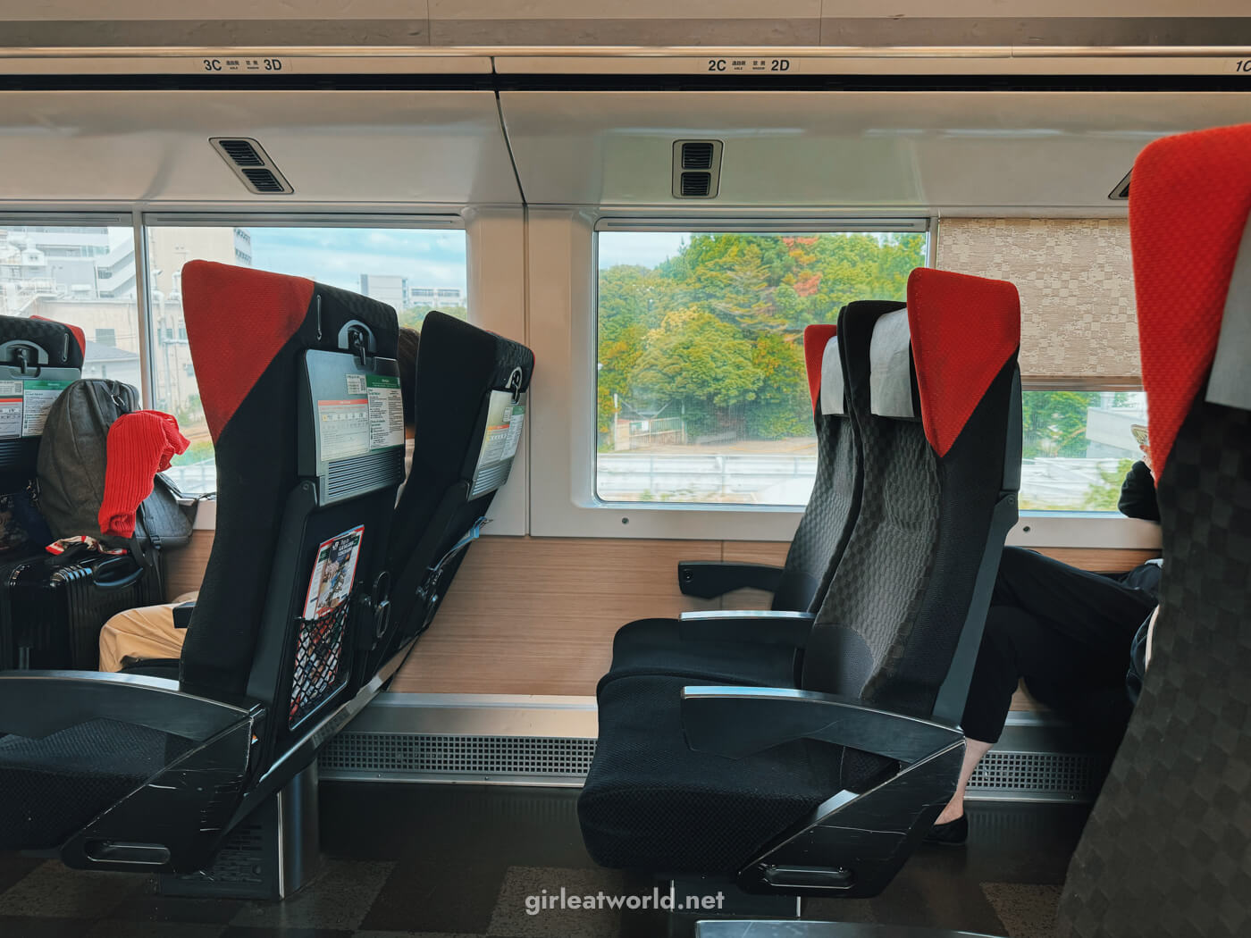 Narita Express Ordinary Car Seat