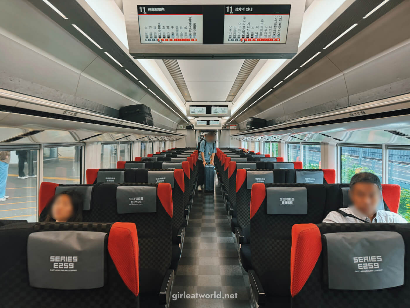 Narita Express Ordinary Car