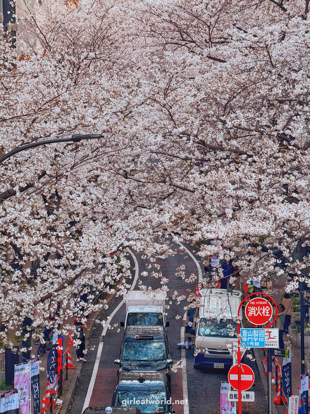 Sakurazaka in Shibuya
