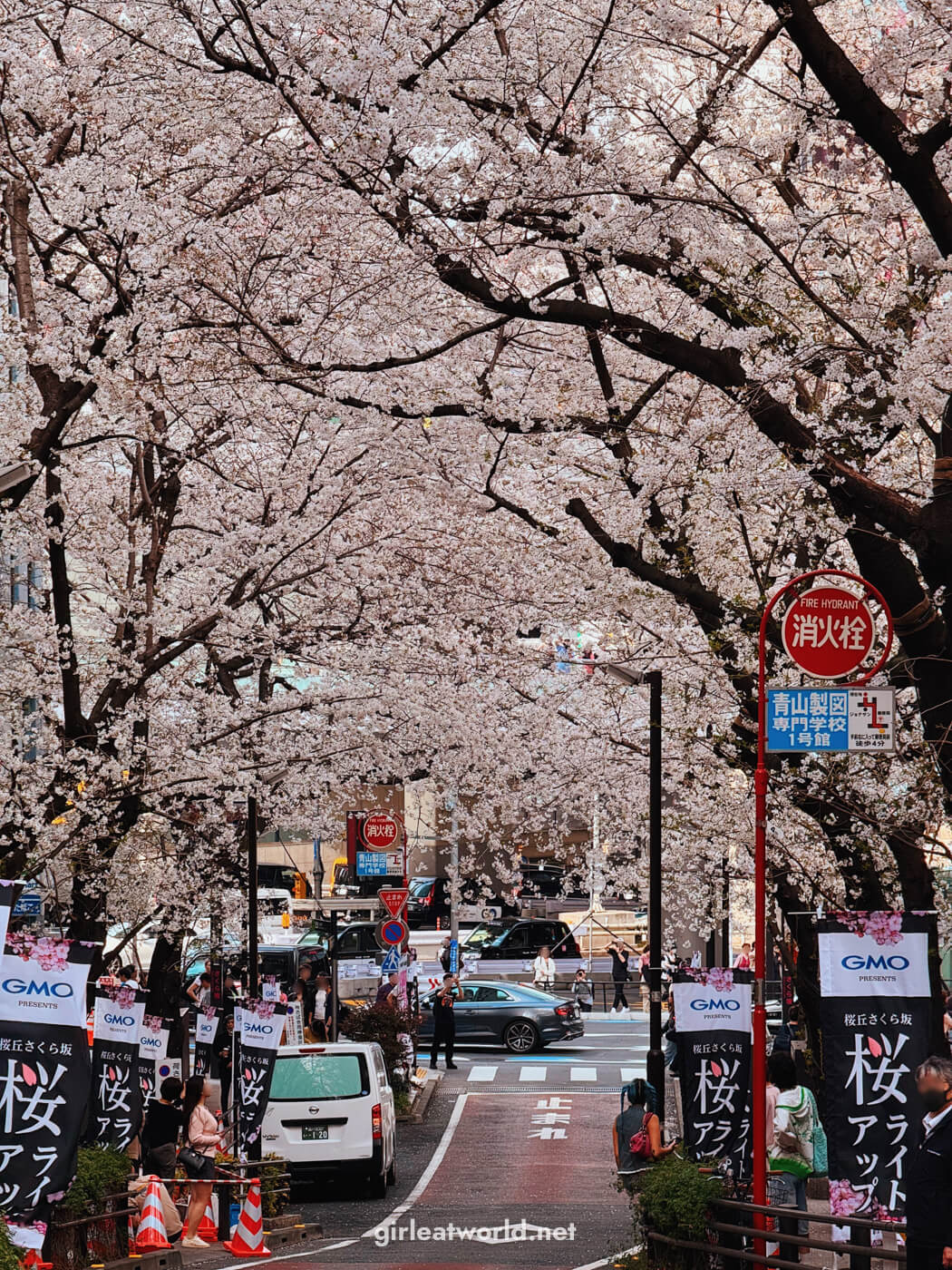 Sakurazaka in Shibuya