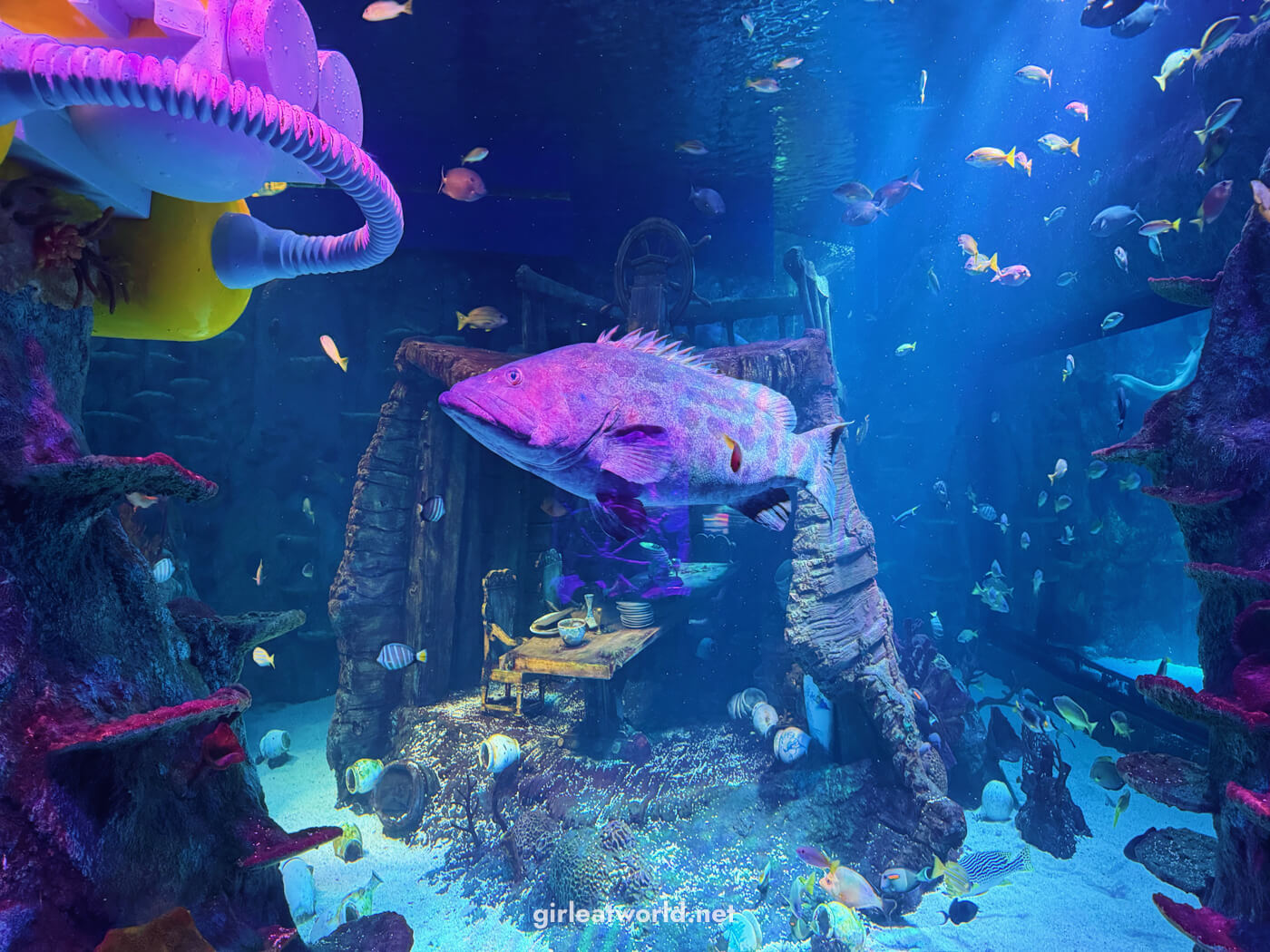 Sea Life Aquarium at Legoland Resort Malaysia