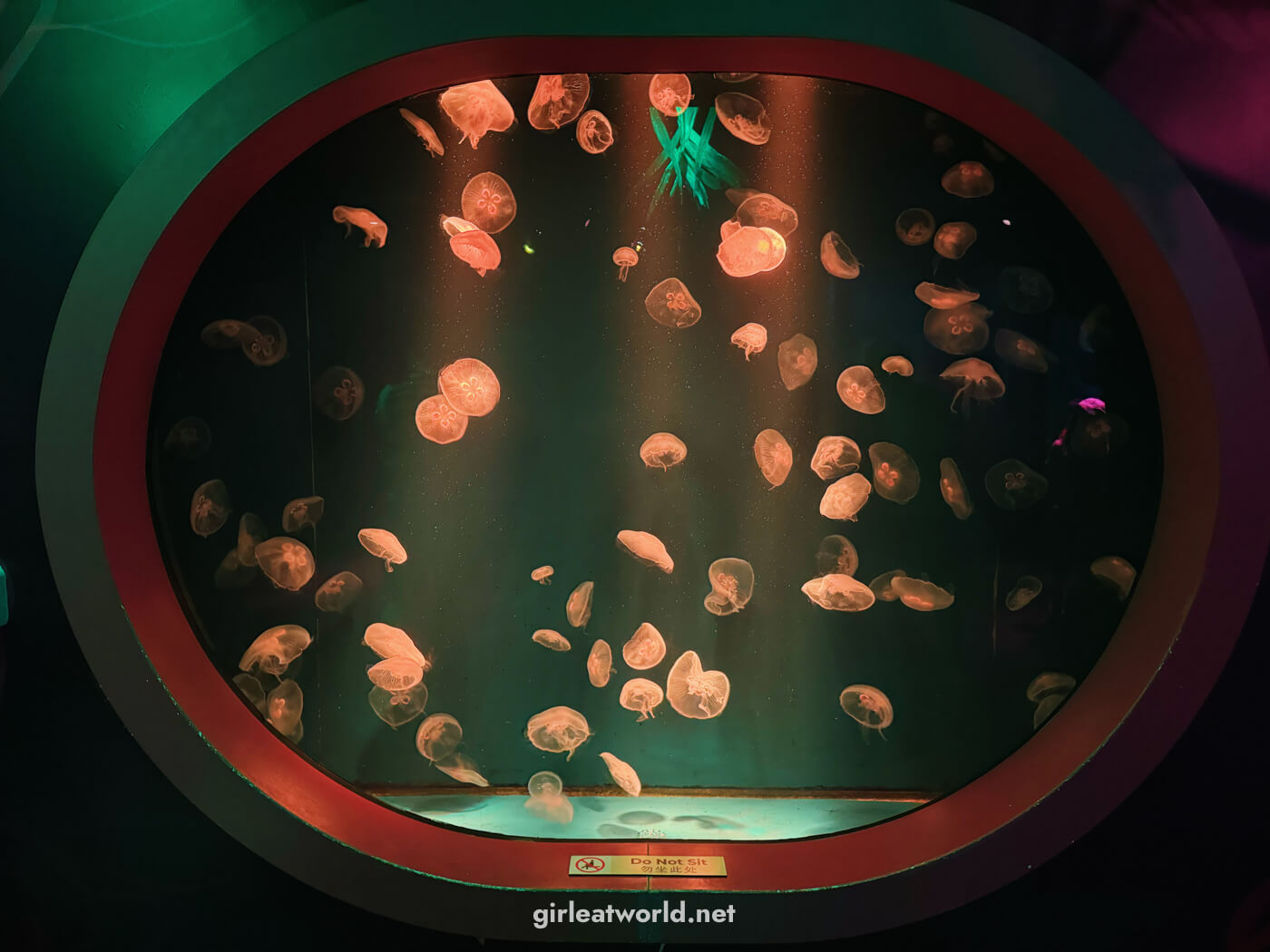 Sea Life Aquarium at Legoland Resort Malaysia