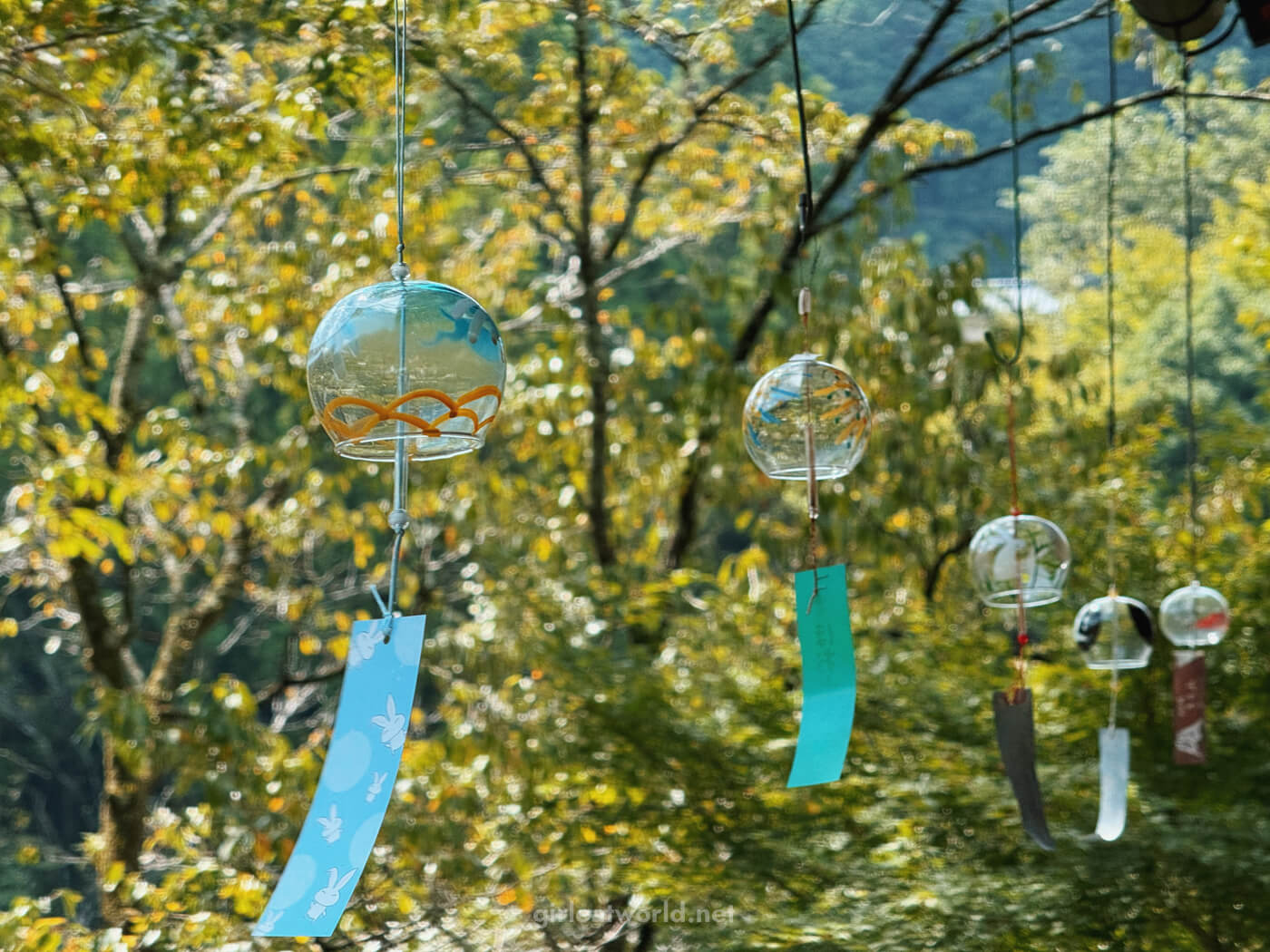Furin windchime at Kiriyama Soba in Okutama