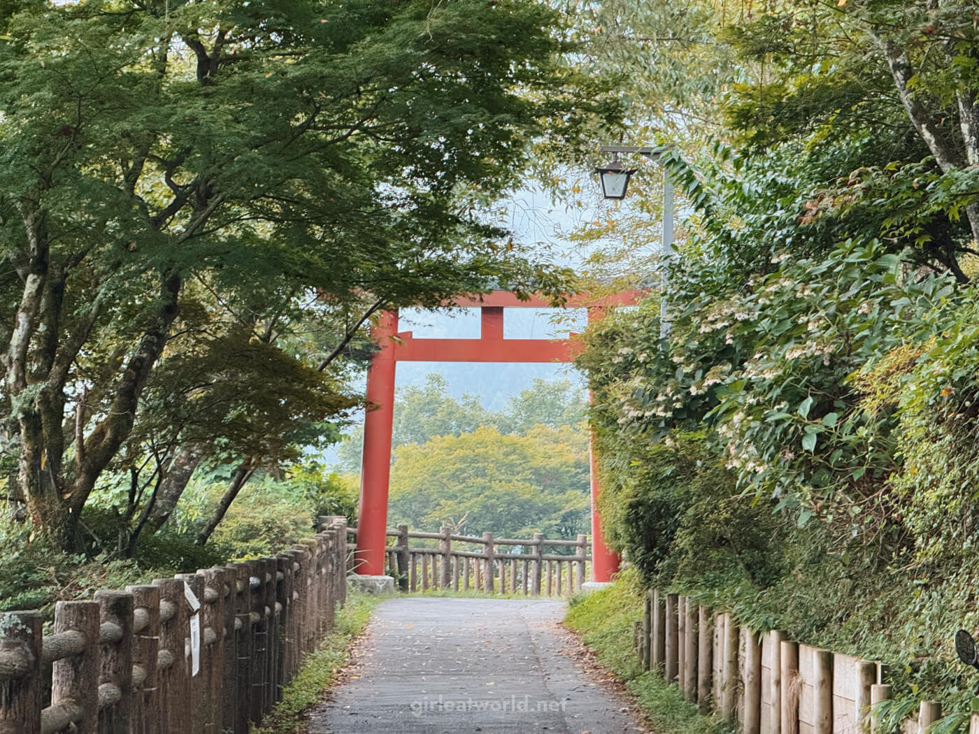 Torii on the way to Musashi Mitake Shrine